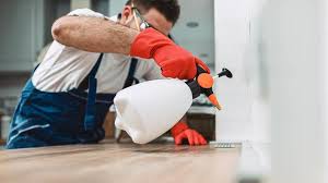 Best Commercial Pest Control  in Imlay City, MI